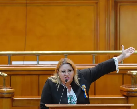 Partidul SOS Șoșoacă