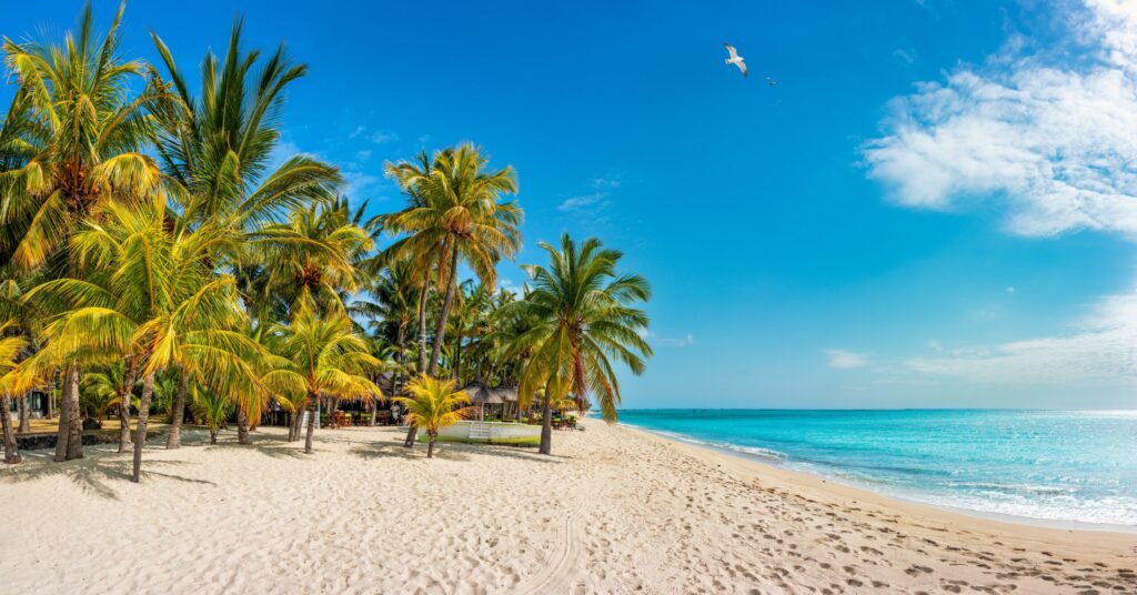 plajă