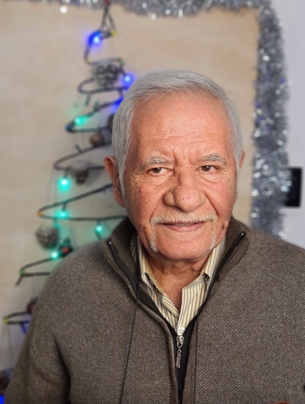 Mihai Voropchievici, numerolog