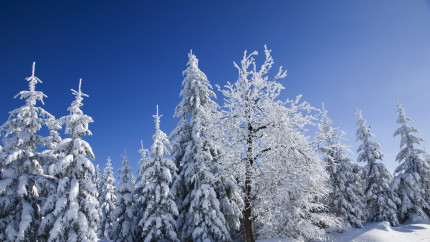 Când vine iarna în România și când apar primele ninsori