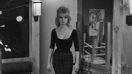 Tot ce nu se știe despre Brigitte Bardot. Adevărul dureros din spatele celebrității