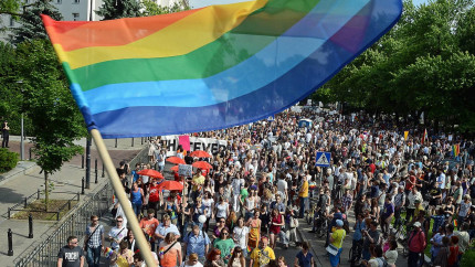Polonia face un pas spre recunoașterea cuplurilor de același sex. Guvernul a adoptat legea privind contractele de coabitare