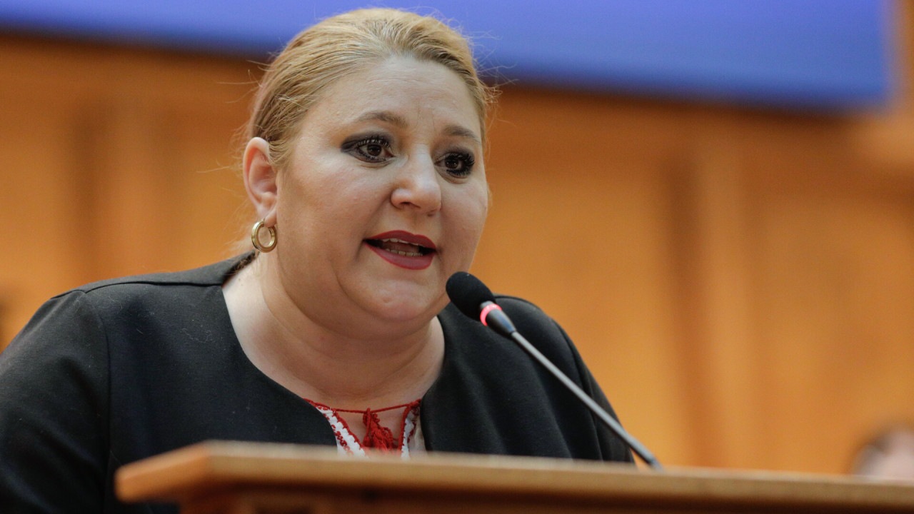 Partidul condus de Diana Șoșoacă condamnă gestul lui George Simion de la Washington rușinos și iresponsabil
