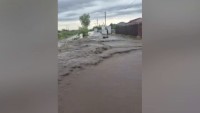 Inundațiile au făcut prăpăd