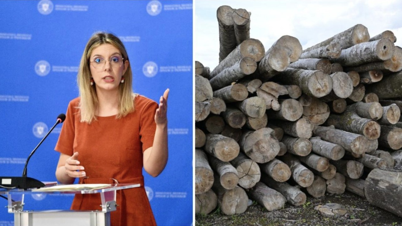 Anunț de ultimă oră Diana Buzoianu anunțul care schimbă tot