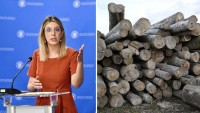 Anunț de ultimă oră Diana Buzoianu anunțul care schimbă tot