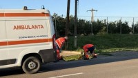 Accident CUMPLIT N-a mai avut nicio șansă8230