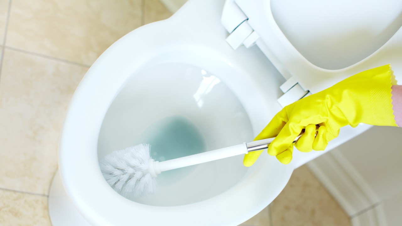 Cu ce trebuie să stropești în vasul de toaletă ca să nu se mai depună calcar. Trucurile știute de cameristele din hoteluri