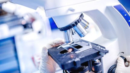 Ce analize medicale poți face gratuit în 2026 fără asigurare de sănătate. Drepturile pe care mulți români nu le cunosc