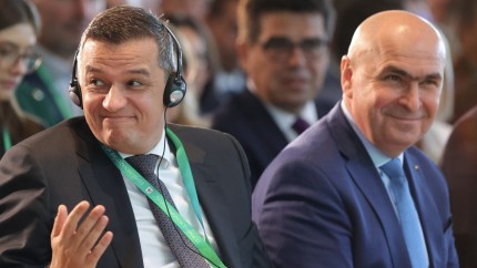 Cine este favoritul lui Ilie Bolojan și Sorin Grindeanu pentru funcția de premier