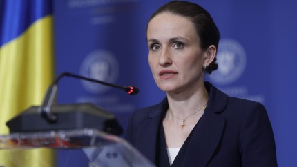 Decizia luata de Oana Toiu. Ambasadorul Rusiei