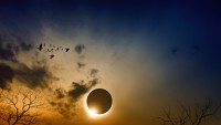 Ce este total interzis să faci în ziua Eclipsei de Soare Greșelile mari care atrag năpasta grea și ghinionul