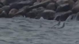 Alertă pe litoral O dronă a fost găsită în Marea Neagră Costinești Reacția oficială a autorităților