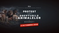 Protest pentru animale la București pe 4 octombrie peste 70 de ONG-uri