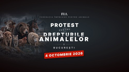 Protest pentru animale la București pe 4 octombrie peste 70 de ONG-uri